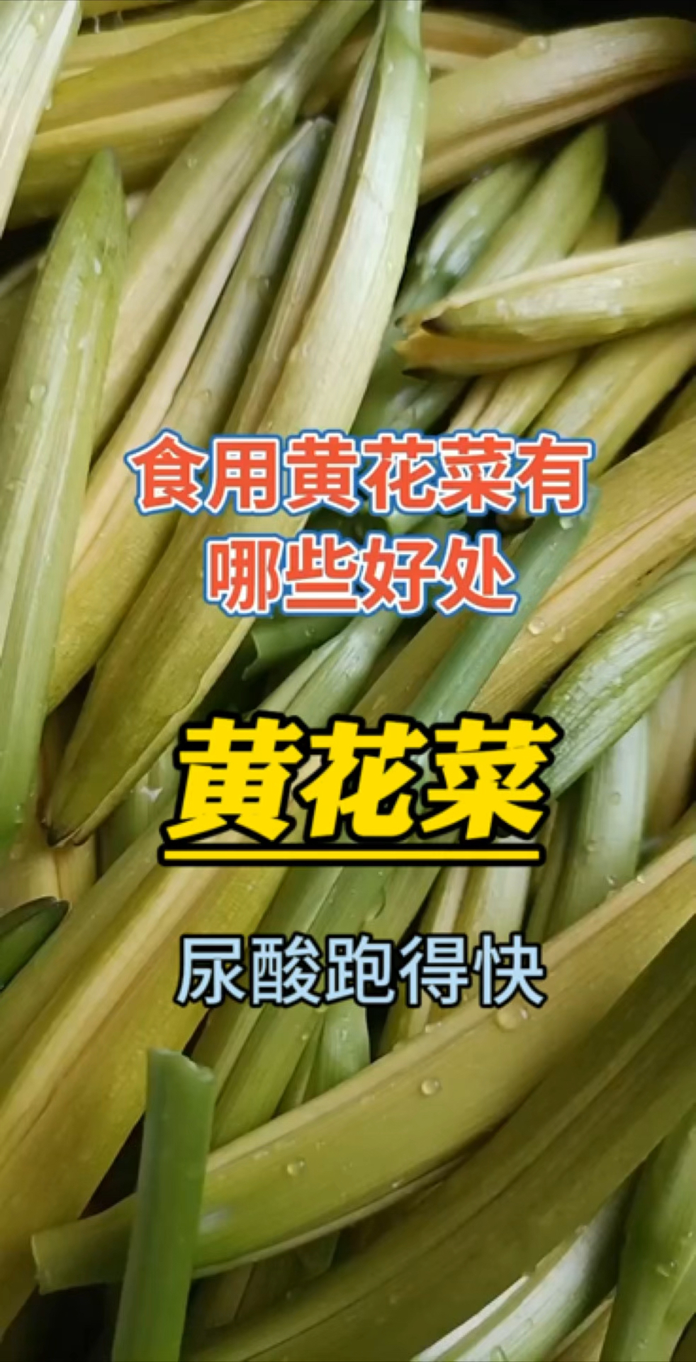 黄花菜,好看的外表下居然对健康这么友好