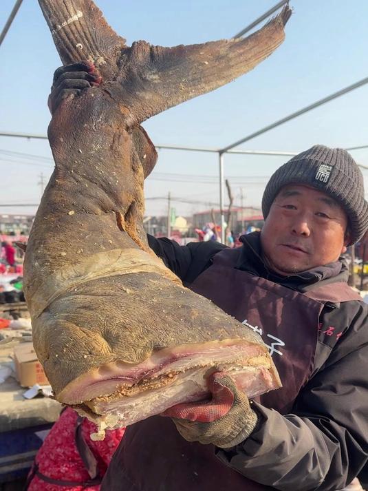 山东大集1000年金枪鱼,现场加工鱼肉糊糊,一口下去像吃盐