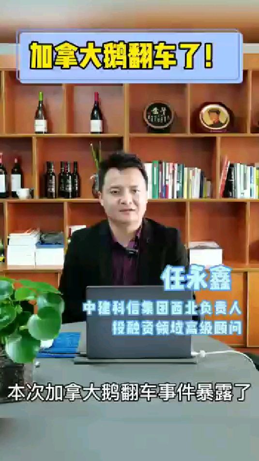 加拿大鹅翻车了?#加拿大鹅为何屡次翻车#中建科信#任永鑫