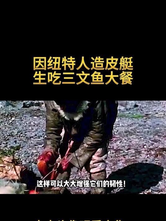 因纽特人做皮艇,吃三文鱼刺身01