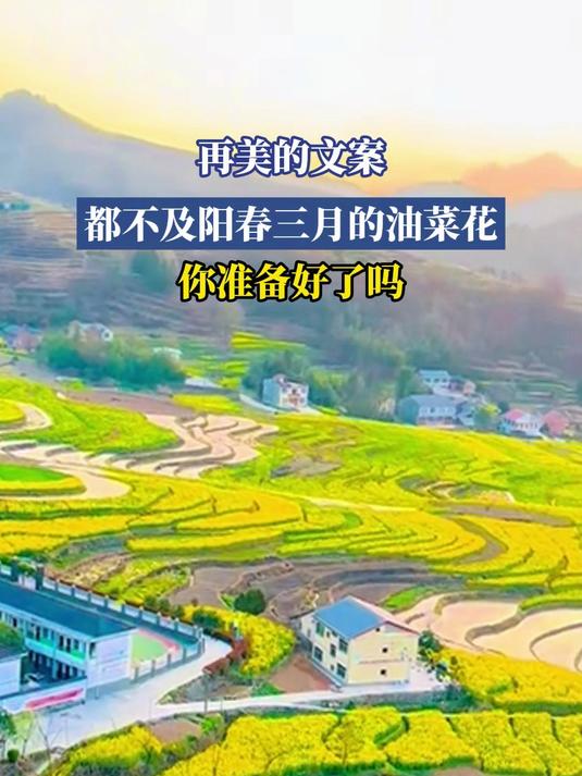 再美的文案,都不及阳春三月的油菜花,你准备好了吗 旅游推荐