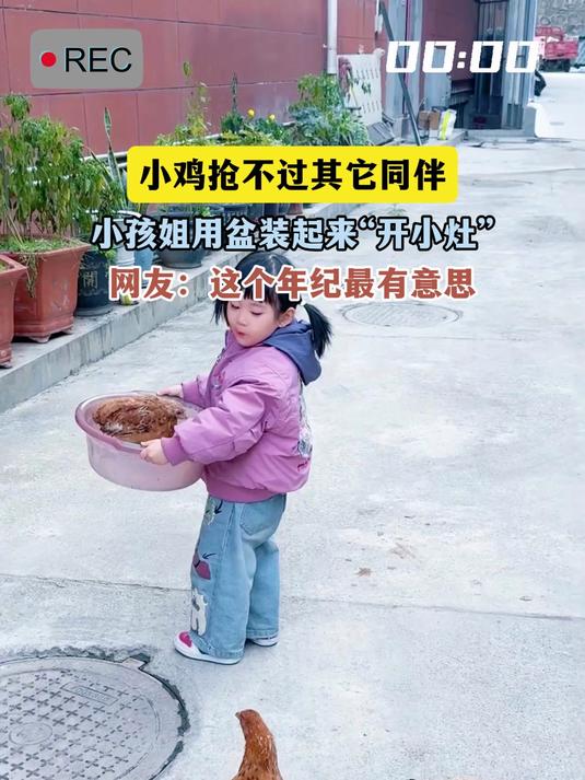 小鸡抢不过其它同伴,小孩姐用盆装起来“开小灶”