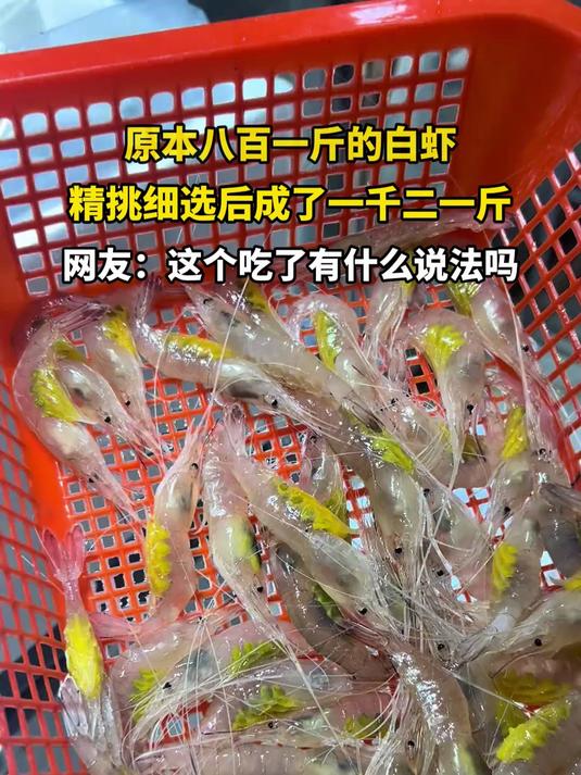 原本八百一斤的白虾,精挑细选后成了一千二一斤