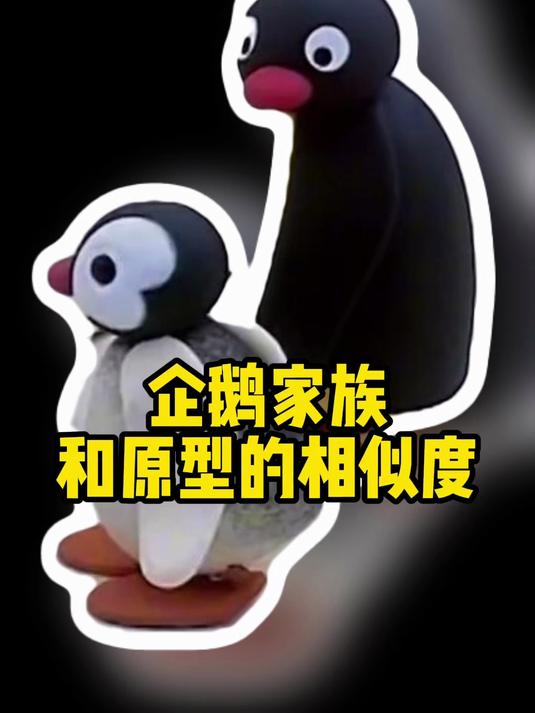 企鹅家族 和原型 帝企鹅 真的好像，好萌的红嘴宝宝 pingu
