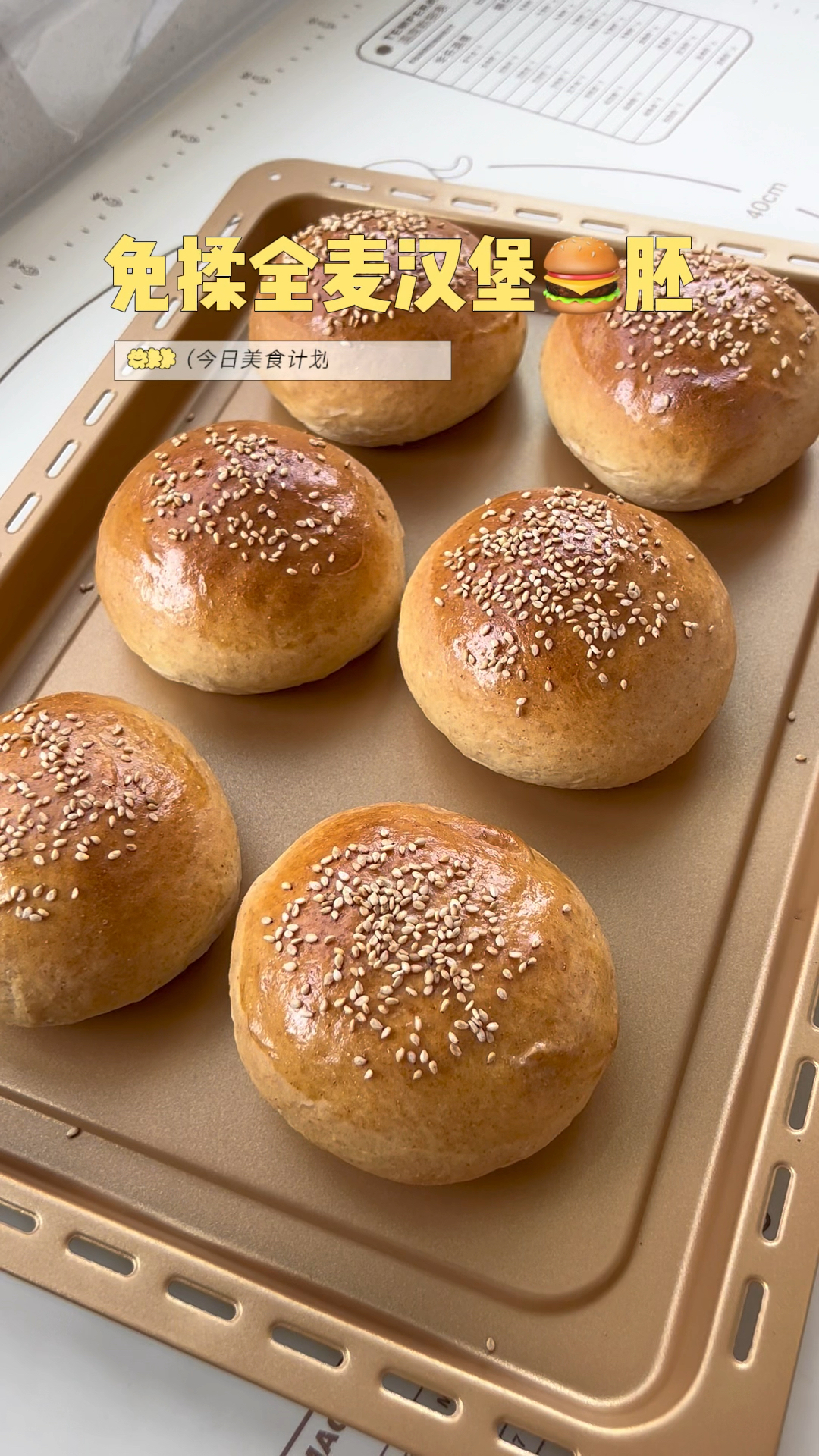 全麦汉堡面包,免手揉