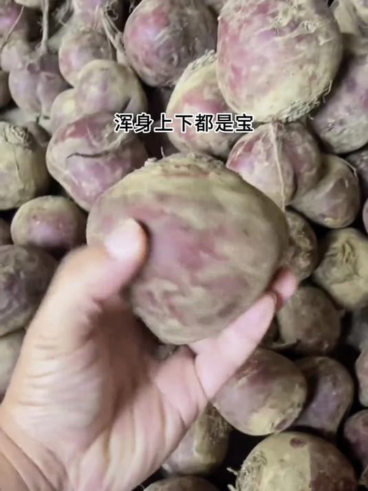 甜菜根居然能这样吃,解锁新美味,好吃到停不下来!