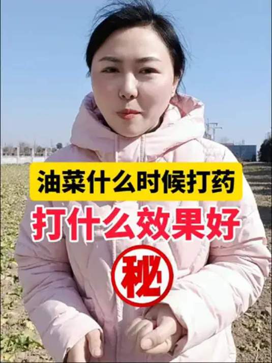油菜打药时机咋选?啥药效果佳?菌核病咋防?