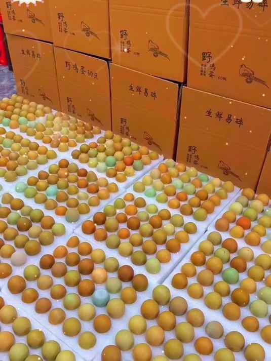 七彩山鸡蛋——低胆固醇的天然滋补圣品,健康新选择