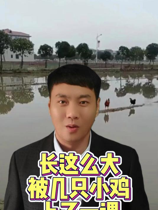 长这么大被几只小鸡上了一课