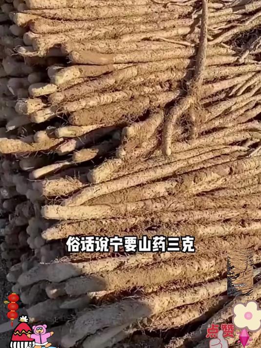 山药春饼皮薄筋道,加热即食,卷菜卷肉都好吃,早餐超方便!#美味#