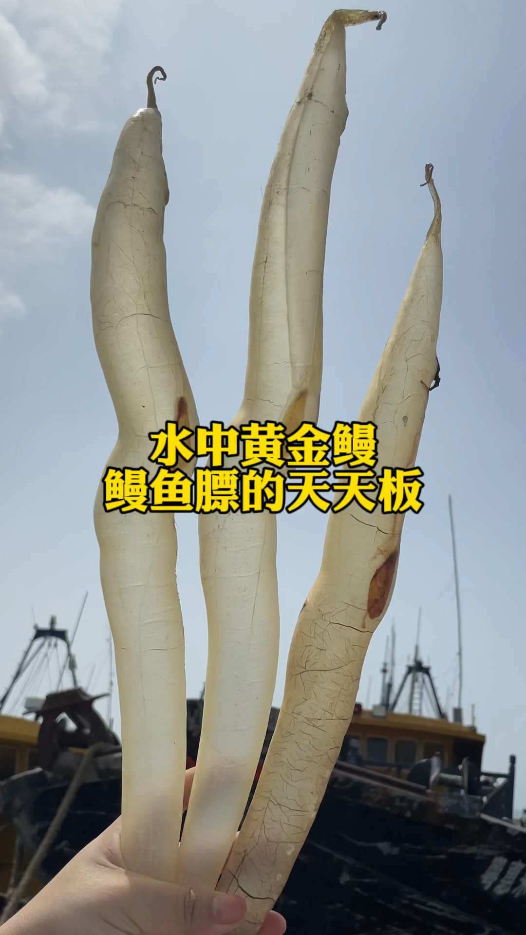 快拿出你手中的鳗鱼胶,发给我看一下是什么的!