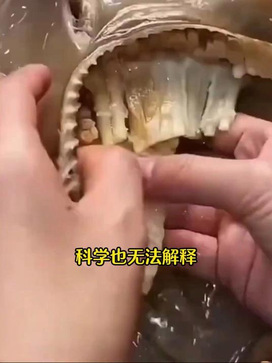 读这本书！从家常炖菜到滋补汤，好吃健康全拿下