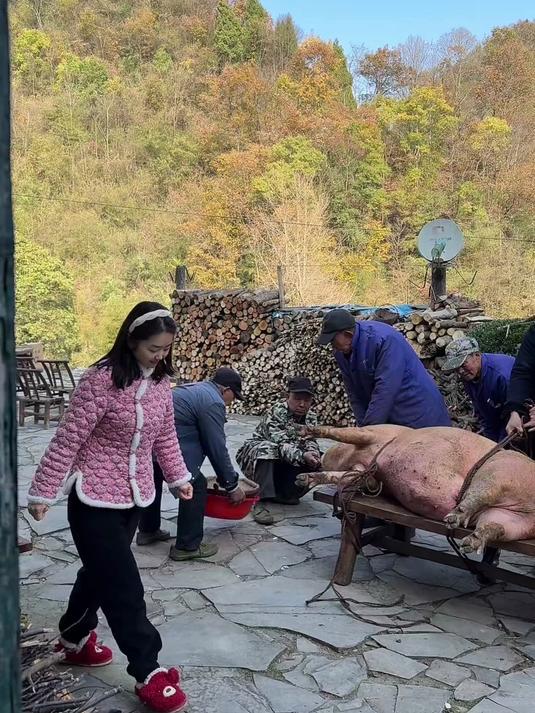 音乐一响,远方的游子就该回家揪猪尾巴啦!农村的年味儿已经来了