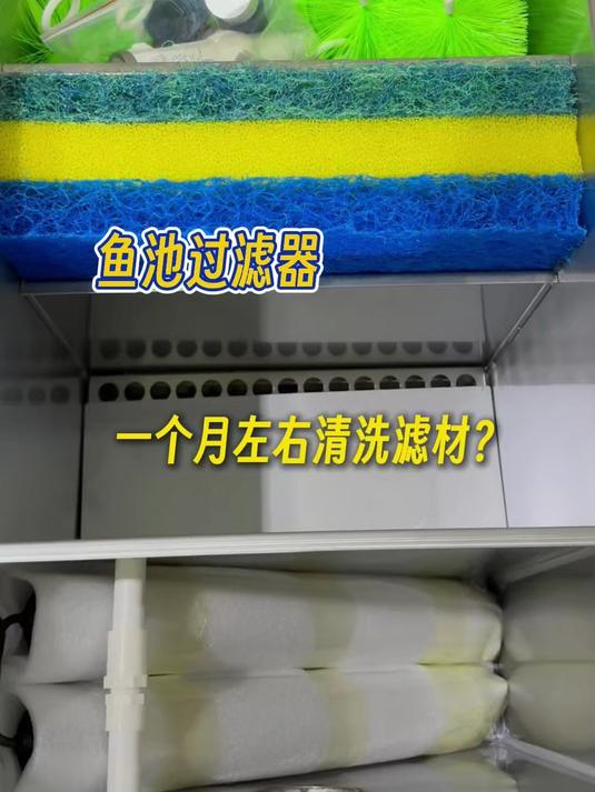过滤器并不需要每天清洗滤材哦 鱼池过滤 锦鲤池 景观鱼池