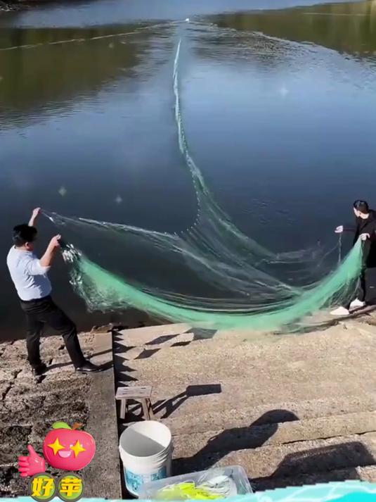 绿丝三层沉网捕鱼网,加重绳包坠,专为鲫鲤草鱼设计的粘网