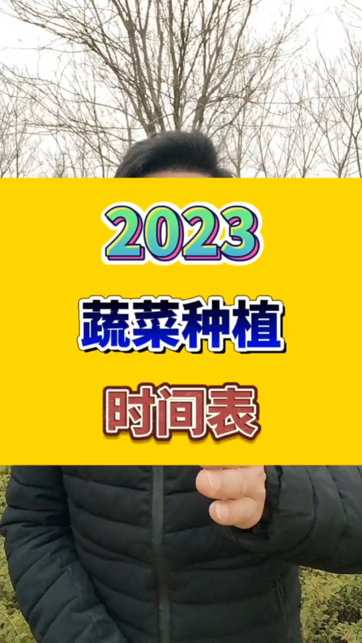 2023种植蔬菜时间表