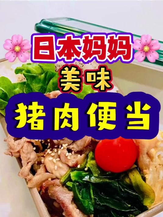 112. 妈妈做的美味猪肉便当 便当 盒饭 妈呀太香了