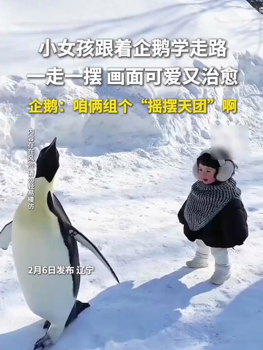小女孩跟着企鹅学走路,一走一摆画面可爱又治愈