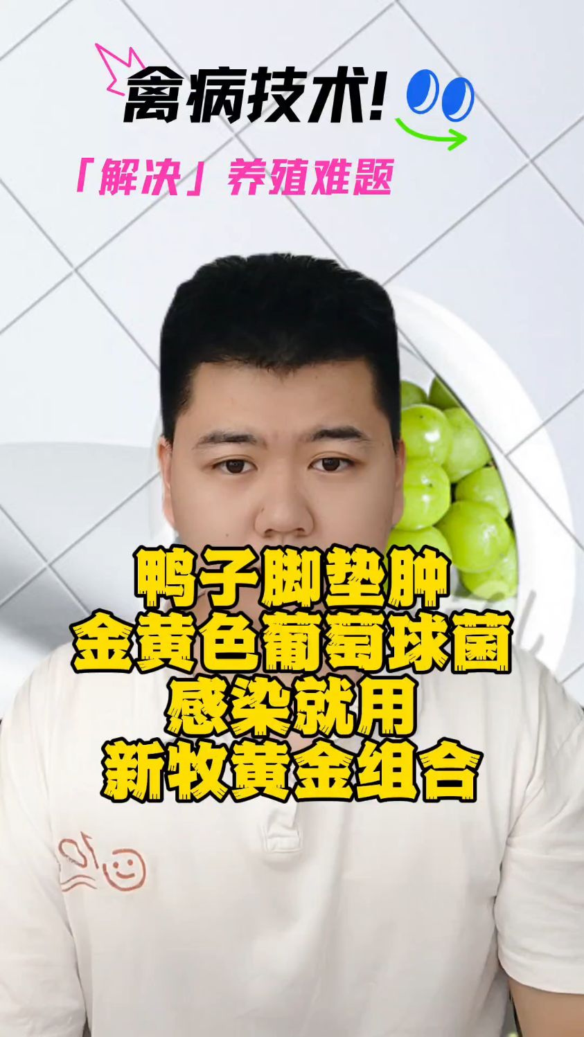 鸭子脚地长大疙瘩怎么回事鸭子脚底长了个大包怎么回事鸭子脚掌长了瘤子是什么情况