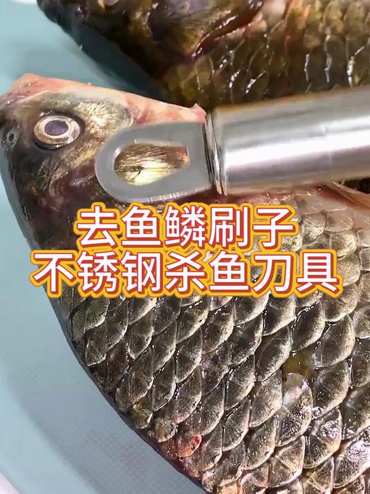 不锈钢鱼鳞刨刮鱼鳞厨房家用去鱼鳞刷子不锈钢杀鱼刀具刮鱼鳞神器
