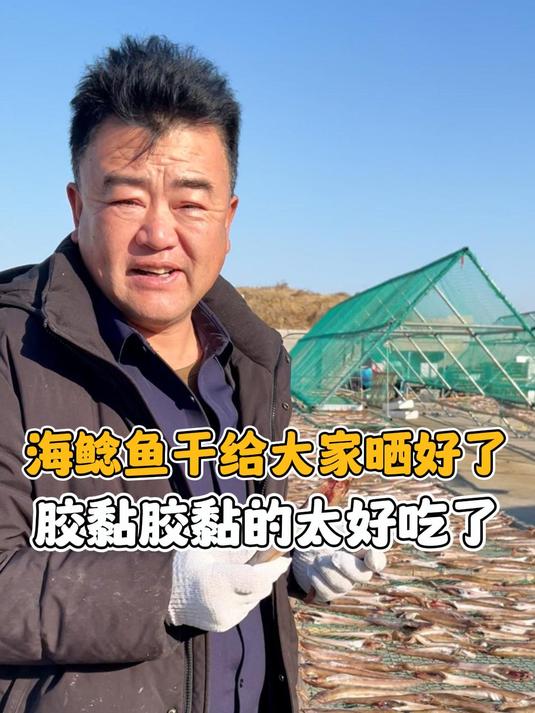 海鲶鱼干给大家晒好了,胶黏胶黏的太好吃啦