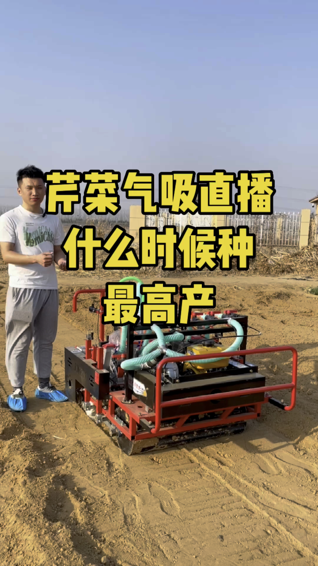 芹菜气吸直播什么时候种最高产