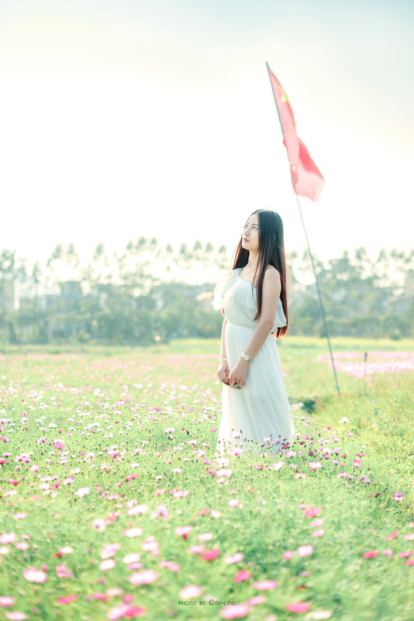 图片[6]-田园花香-六色网