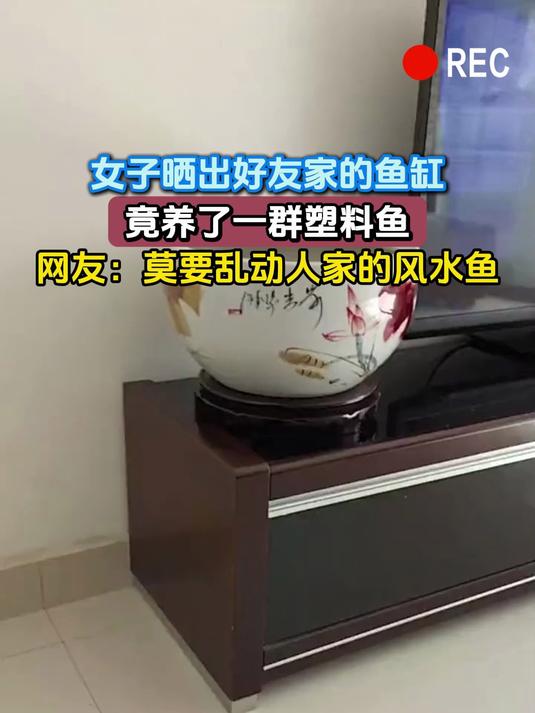 女子晒出好友家的鱼缸,竟养了一群塑料鱼,网友:莫要乱动人家的风水鱼