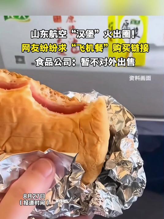 山东航空“汉堡”火出圈!网友纷纷求“飞机餐”购买链接