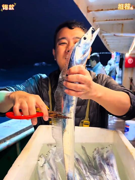 舟山鲜鱼上岸都是这样小眼睛老鹰嘴的正宗舟山带鱼