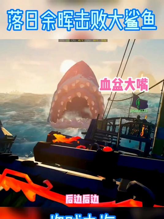 我这个队友比较怂，我是不惧怕这个大鲨鱼的 盗贼之海