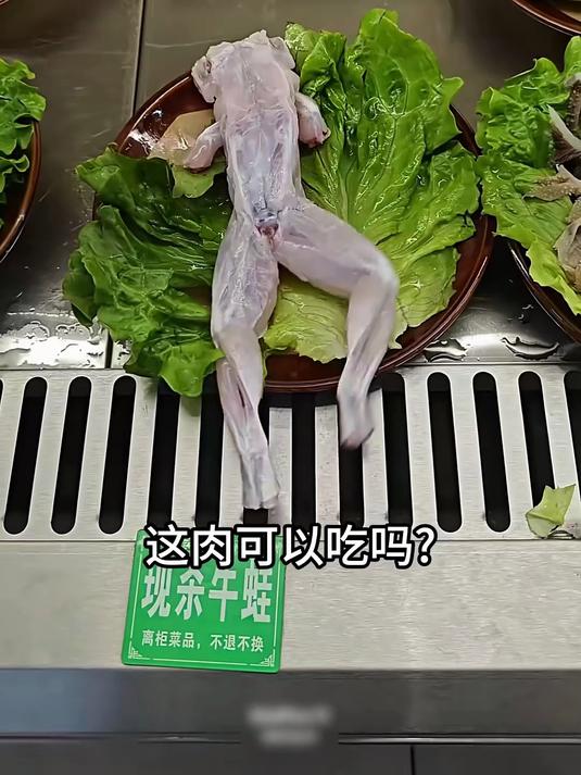分享科普20种“肉类”,你都吃过几种?