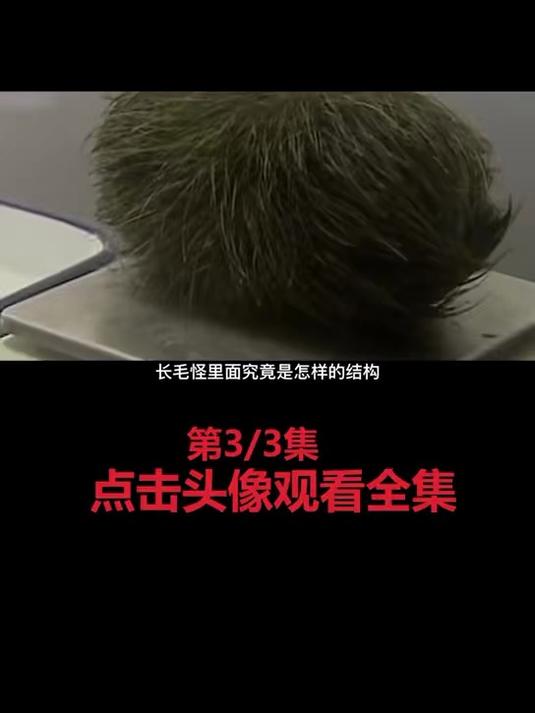 江西屠夫杀猪遇猪宝