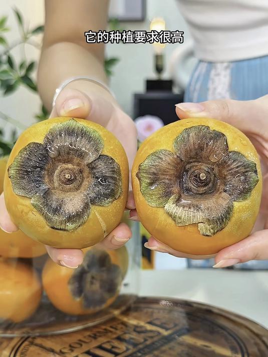 阳丰脆柿子熟了！脆甜多汁不涩喉，产地直发坏果包赔