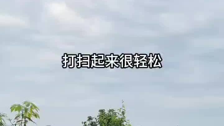 菜园改造这样选,装修费用省一半