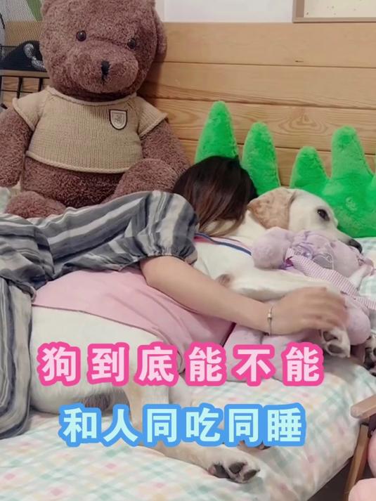 狗到底能不能和人同吃同睡