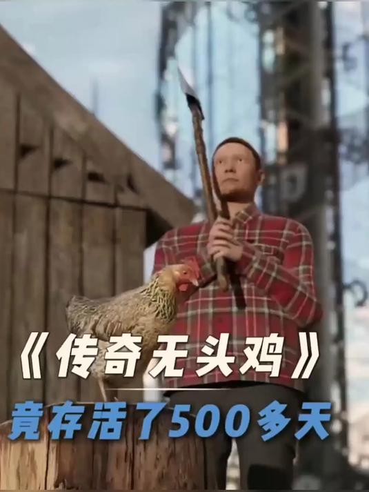 1945年农场主奥尔森砍掉的无头鸡涨知识 科普 无头鸡