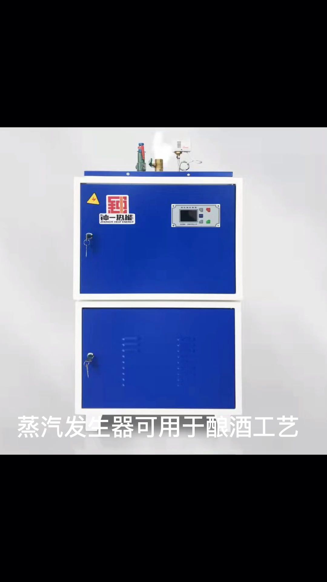 全自动电蒸汽发生器