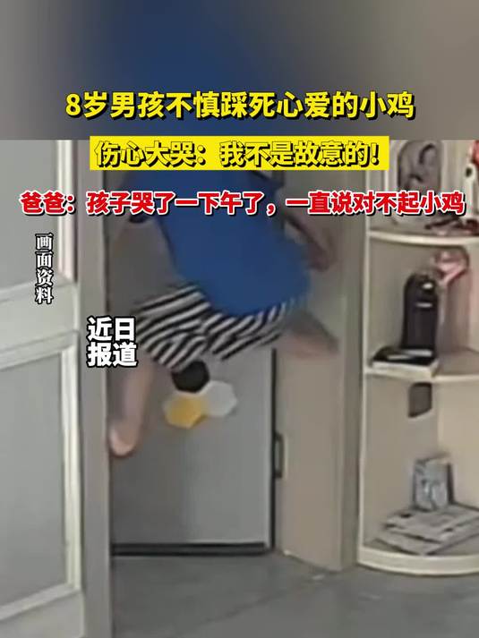 8岁男孩不慎踩死心爱的小鸡,伤心大哭:我不是故意的