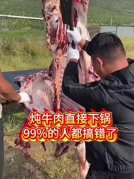 99% 人直接炖牛肉致硬柴！星级主厨 6 香料救场，软嫩脱骨！