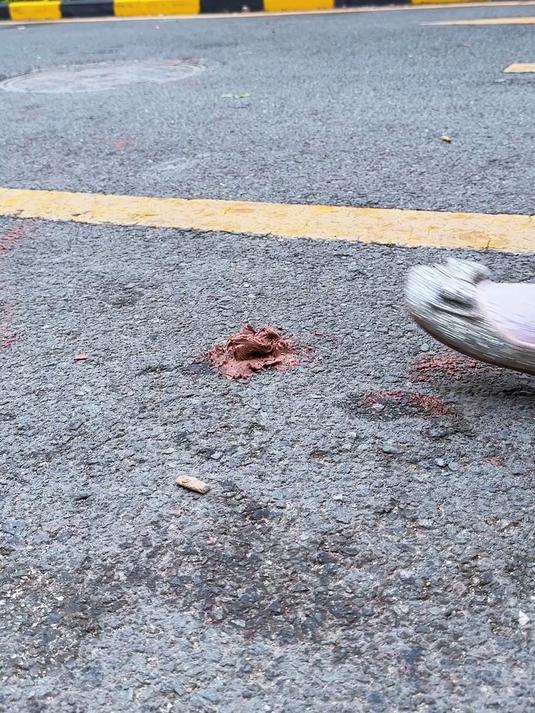 好可爱的小鸡仔