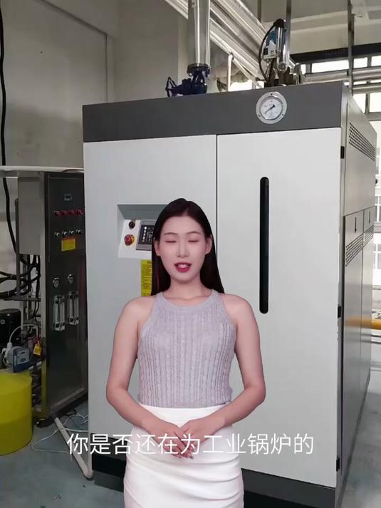 全预混贯流燃气蒸汽发生器