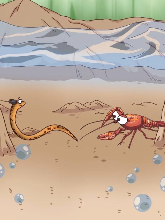 小龙虾:鬼知道我经历了什么