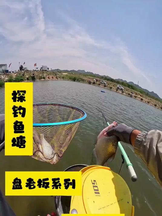 再战鲂鱼盘老板