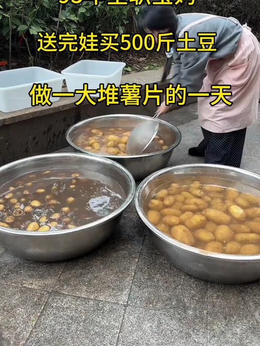 送完娃拉了几百斤带泥的土豆回来,给孩子做了一大堆薯片