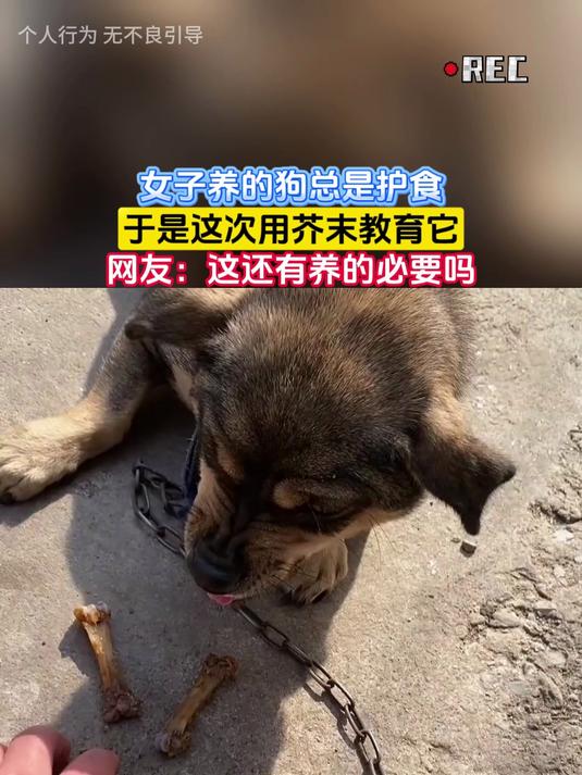 女子养的狗总是护食，于是这次用芥末教育它