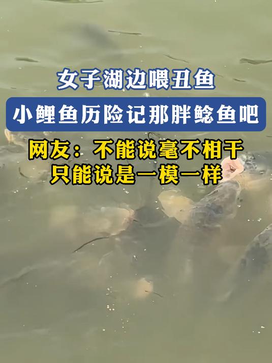 动画片里的鱼照进现实,网友:不能说毫不相干只能说是一模一样