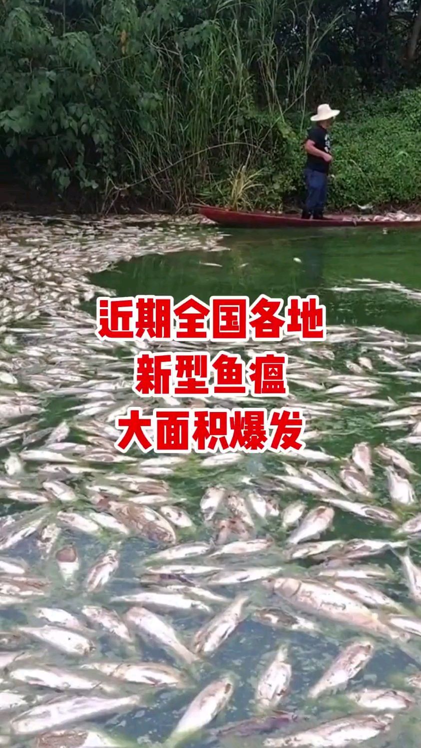 注意!最近吃鱼要谨慎!