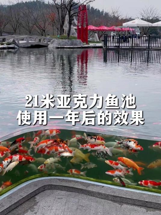时间给出答案,使用一年后的亚克力鱼池效果