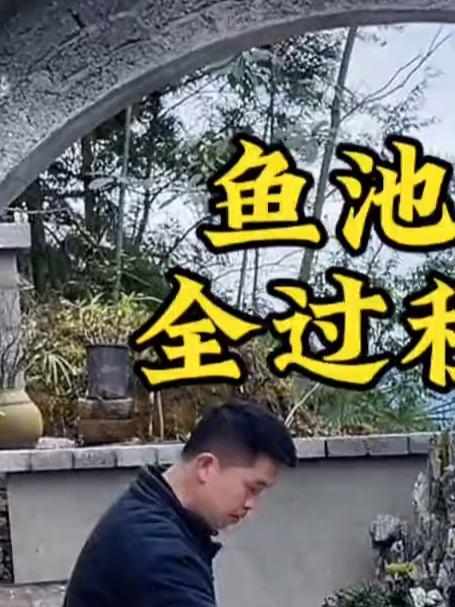 从开挖到改造完成,一口气看完鱼池改造全过程太爽了#庭院鱼池##假山制作##中式庭院##小院